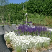 Sehenswerter Garten im Bad Wildunger Kurpark.