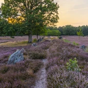 Oldendorfer Totenstatt