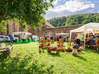 Verkaufsstände auf dem Bauernmarkt am Kloster Buch in Leisnig - Einkaufen in der Region Leipzig  Verkaufsstände auf dem Bauernmarkt am Kloster Buch in Leisnig