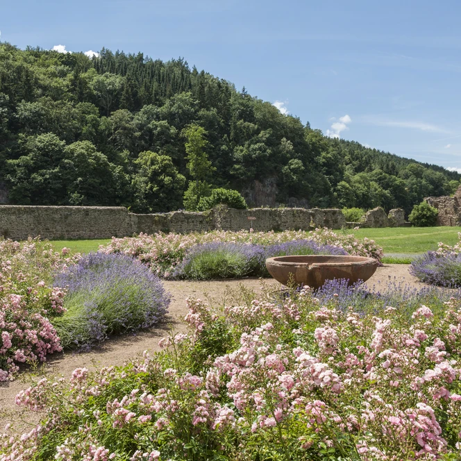 Kloster Buch in Leisnig - Freizeit und Geschichte in der Region Leipzig