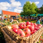 Äpfel auf dem Bauernmarkt in Leisnig am Kloster Buch - Einkaufen in der Region Leipzig Äpfel in einem Weidenkorb auf dem Bauernmarkt in Leisnig am Kloster Buch in der Region Leipzig