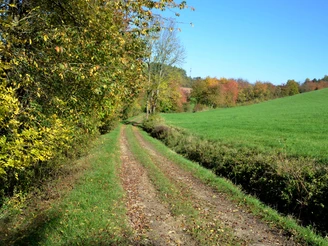 DSC 0812