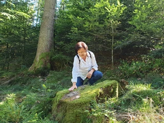 Waldbaden Natur Beruehrung Moos Waldbaden Natur Beruehrung Moos