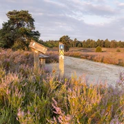 Schwindebecker-Heide