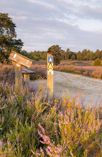 Schwindebecker-Heide