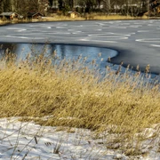 0-w-1-IMG_4459-edited.jpg