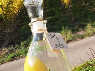 123025351 3434111566667186 3850026087415463418 n