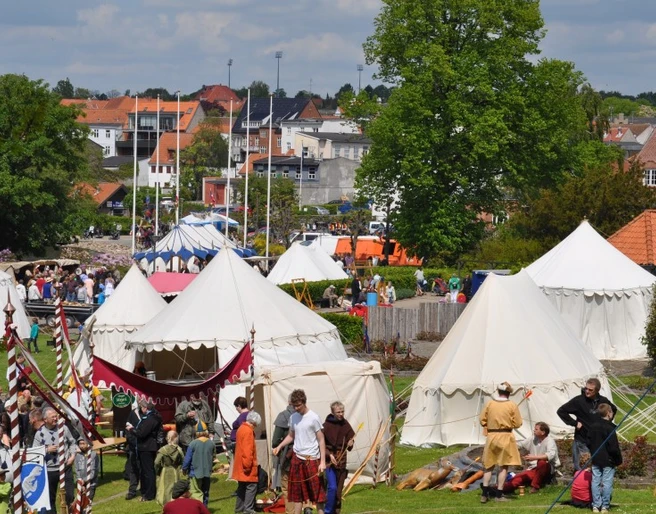 Hertug Hans Festival 4 (4)