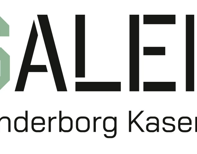 SALEN-Sønderborg-Kaserne-logo