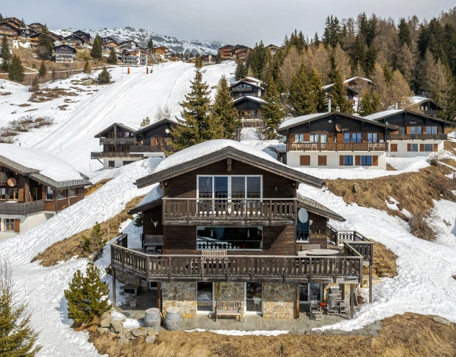 Rupicapra-Winter-Ansicht