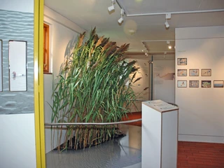 Innenansicht_Naturschutzstation_Dümmer