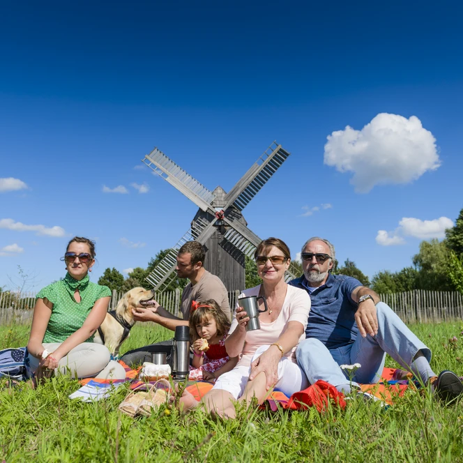 Picknick mit der ganzen Familie an der Bockwindmühle Bad Düben - Urlaub in der Region Leipzig