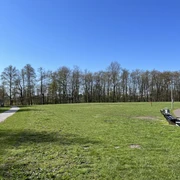 Hundefreilauf am Südufer Allersee