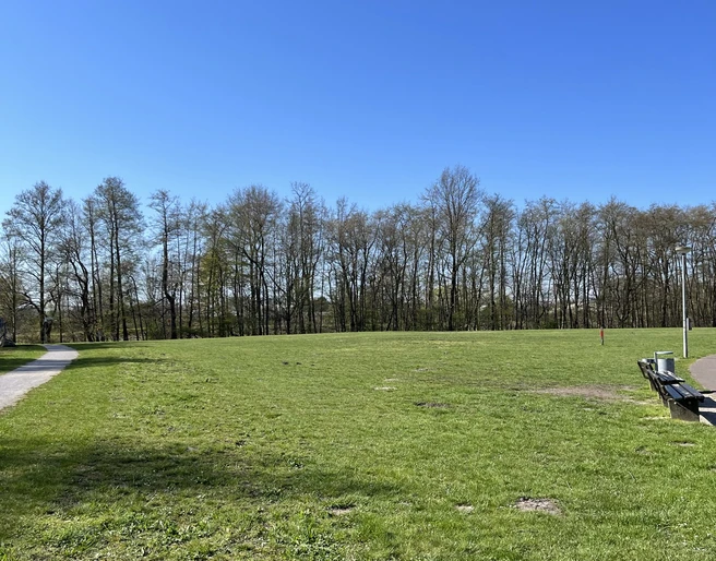 Hundefreilauf am Südufer Allersee