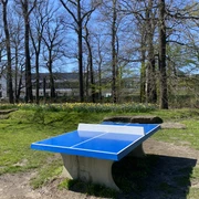 Tischtennis im Allerpark