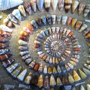 POI-Muschelmuseum.JPG
