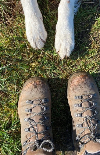 Wanderschuhe  Verschmutzte Wanderschuhe auf grasigem Boden, dazu die Pfoten eines Hundes in der Bildmitte sichtbar.