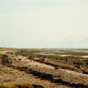 hjerpsted-strand-efteraar