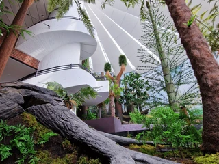 Karbonwald_Sigi(c)LisaHeyn.jpg Karbonwald