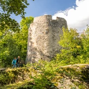 Kreis Hoexter-Iburg Bad Driburg-Teutoburger-Wald-Tourismus-D-Ketz-061.jpg Ein Wanderpark vor der Iburg im Kreis Höxter