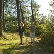 Oerlinghausen-Teutoburger-Wald-Tourismus-F-Grawe (78)_klein.jpg Zwei Personen mit Hund spazieren auf einem Waldweg in der Sonne, umgeben von hohen Bäumen.