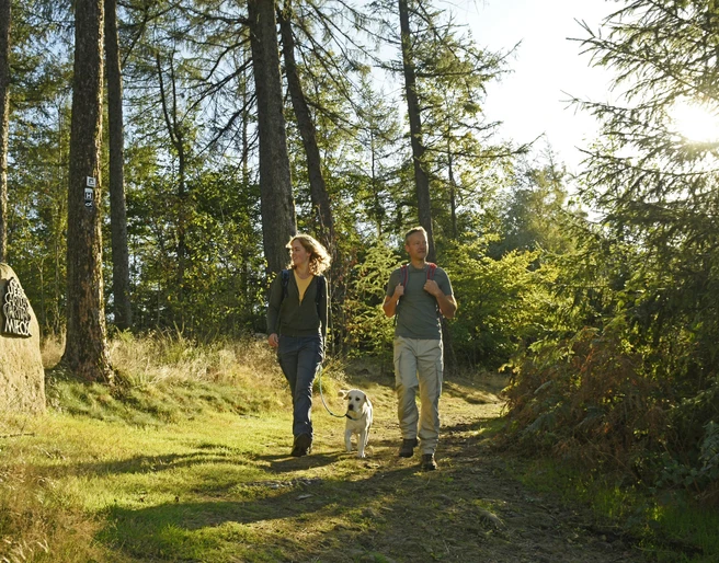 Oerlinghausen-Teutoburger-Wald-Tourismus-F-Grawe (78)_klein.jpg Zwei Personen mit Hund spazieren auf einem Waldweg in der Sonne, umgeben von hohen Bäumen.