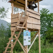 Rangerarbeit (10).jpg