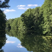 Wakenitz (2).JPG Blick vom Fluss auf das Wasser, in dem sich die Umgebung spiegelt