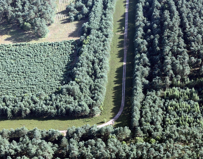 GruenesBand_WolfgangBuchhorn (1).jpg