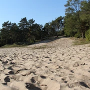 BesenhorsterSandberge_TIGeesthacht (2).jpg