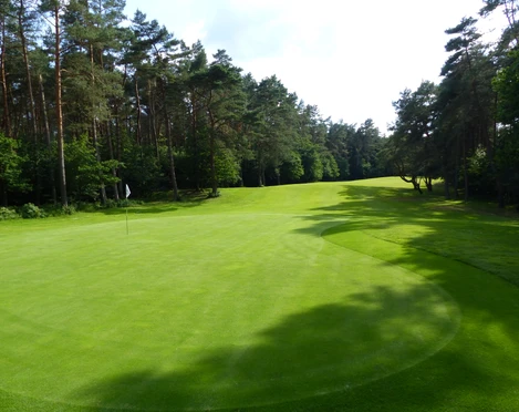 Hügellandschaft des Golfclubs