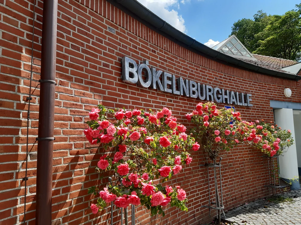 BökelnburghalleRose.JPEG