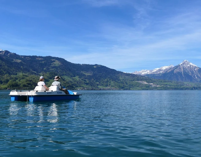 mountainsurf-pedalo-thunersee-niesen.jpg