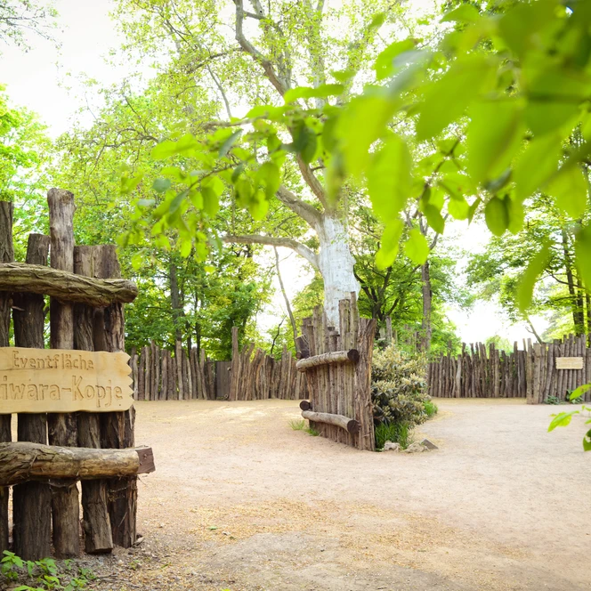 Zoo Leipzig: venue with event area Kiwara Kopje for your meeting & conference in Leipzig