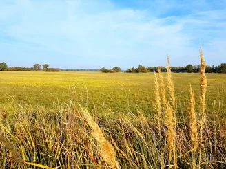 Auenwanderweg