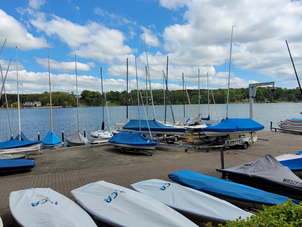 RSV_Silvana Dust_20230510_1980x1310.jpg