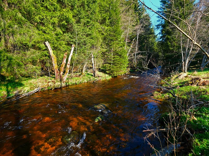 Bachlauf