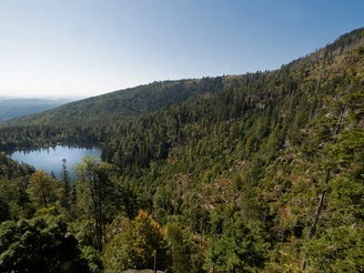 Rachelseeblick