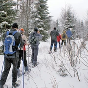 Schneeschuhwandern