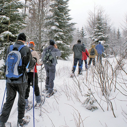 Schneeschuhwandern