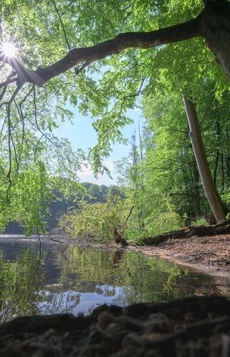 Plötschersee_Salemer Moor_See.jpg