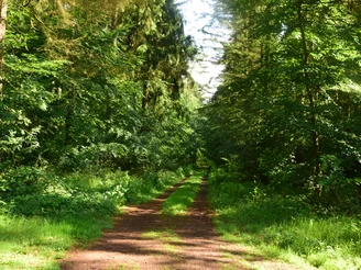 Wanderweg Freiluft-Fitnessstudio