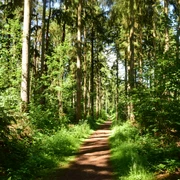Wanderweg am Freiluft-Fitnessstudio in Geesthacht
