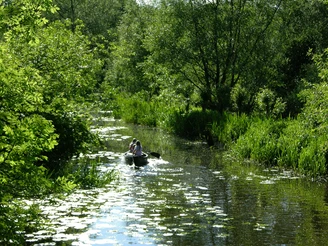Paddeln auf der Steinau