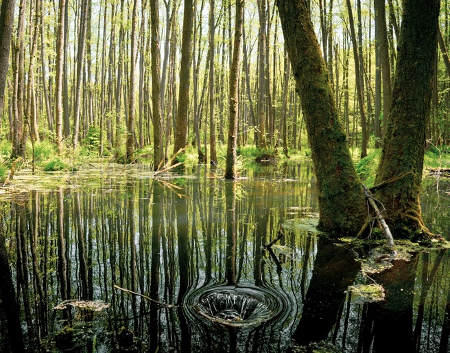 230522_Söhlbruch_CCBYSA_Dominik_Marwede_comp-16.jpg Söhlbruch