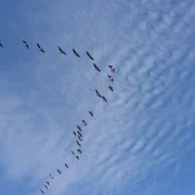 F6975456-4E11-4C9F-86EA-873CCF4FD4CB.jpeg
