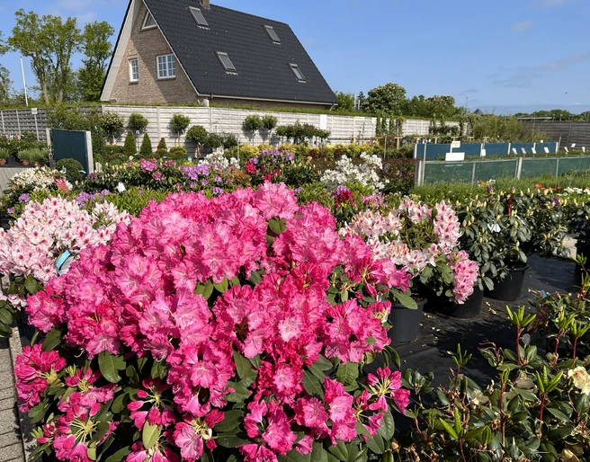 Gartencenter Harms Aussenbereich