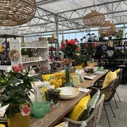 Gartencenter Harms Einrichtung