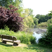 Gemütliche Holzbank am Fintausee Gemütliche Holzbank am Fintausee
