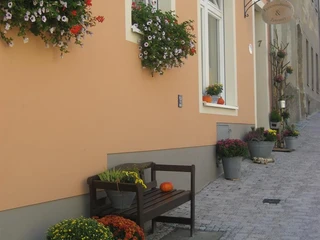 Blumenschmuck vor unserem Haus